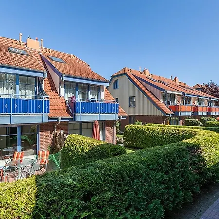 Papillon 15-3 博尔滕哈根